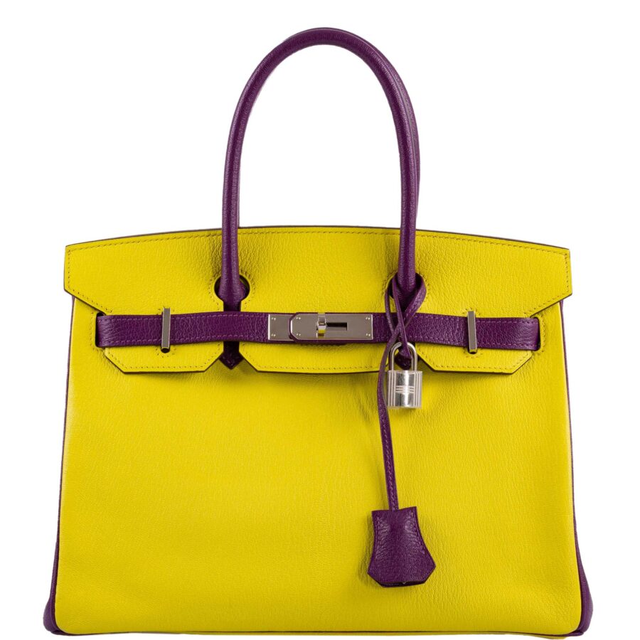 Hermes Birkin bag – front view