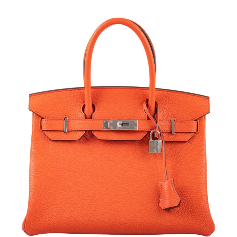 Hermes Birkin orange bag – front view