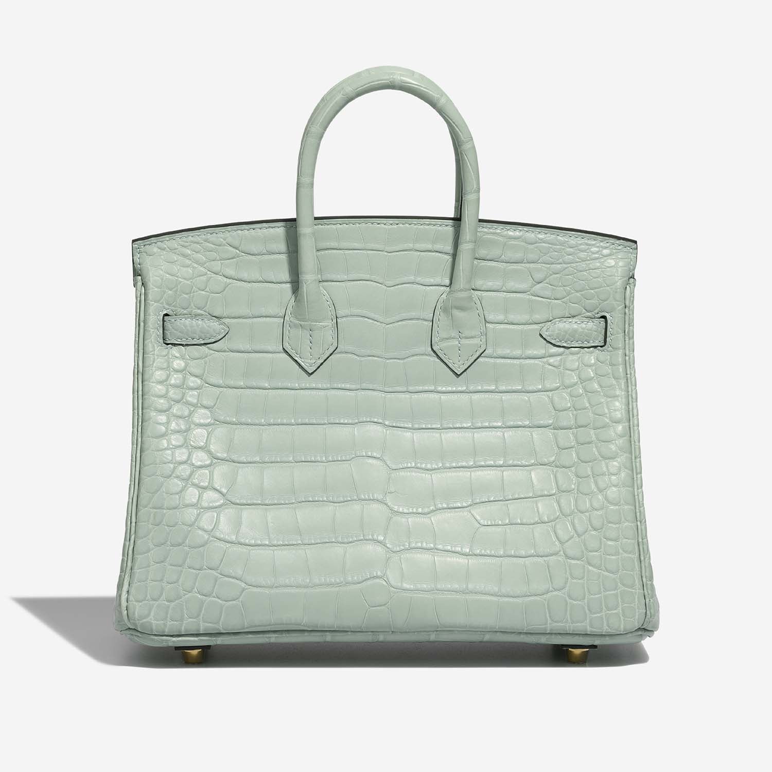 Birkin 25 Matte Alligator Vert D’Eau